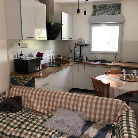 Logement Entier Entree Autonome Ch,Sdd,Cs Privatives Aussonne Zewnętrze zdjęcie