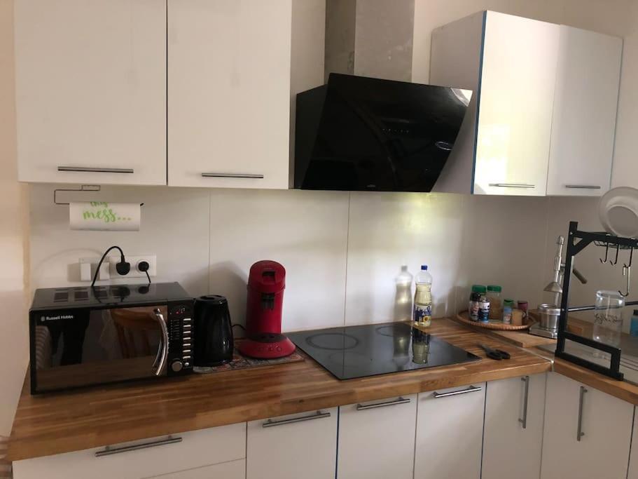 Logement Entier Entree Autonome Ch,Sdd,Cs Privatives Aussonne Zewnętrze zdjęcie
